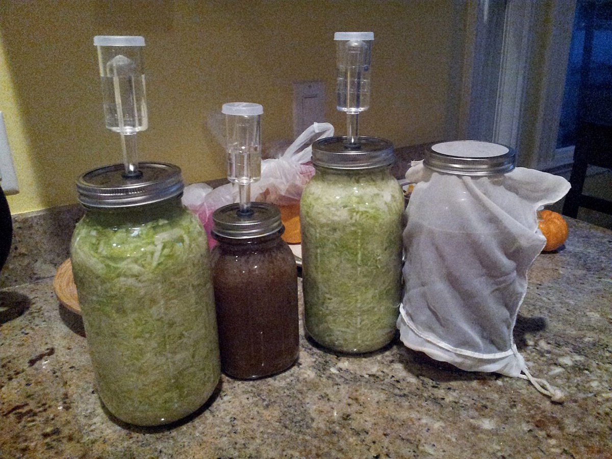 Water Kefir Grains